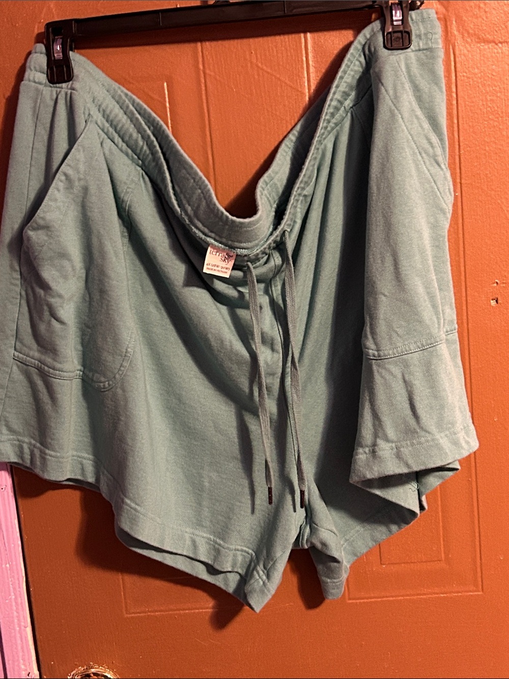 Terra & Sky shorts
